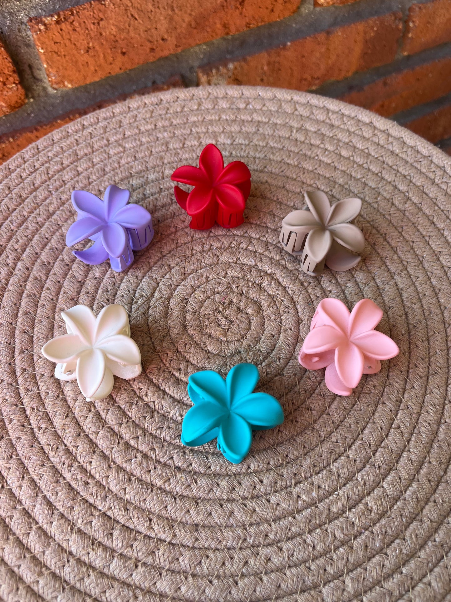 Pinza hawaiana chica