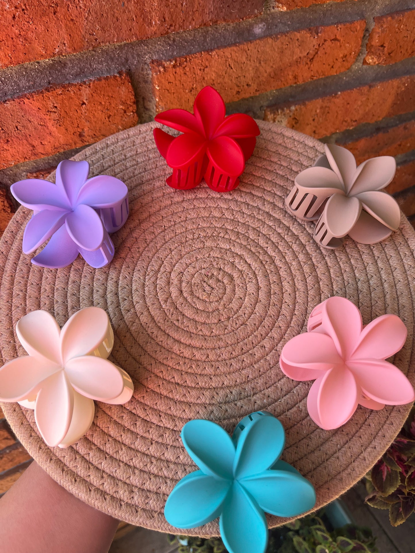 Pinza hawaiana grande