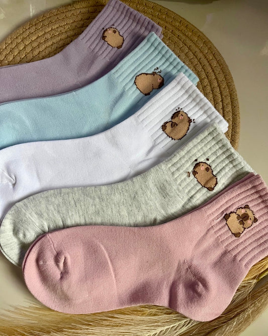 Medias Capibara Pastel