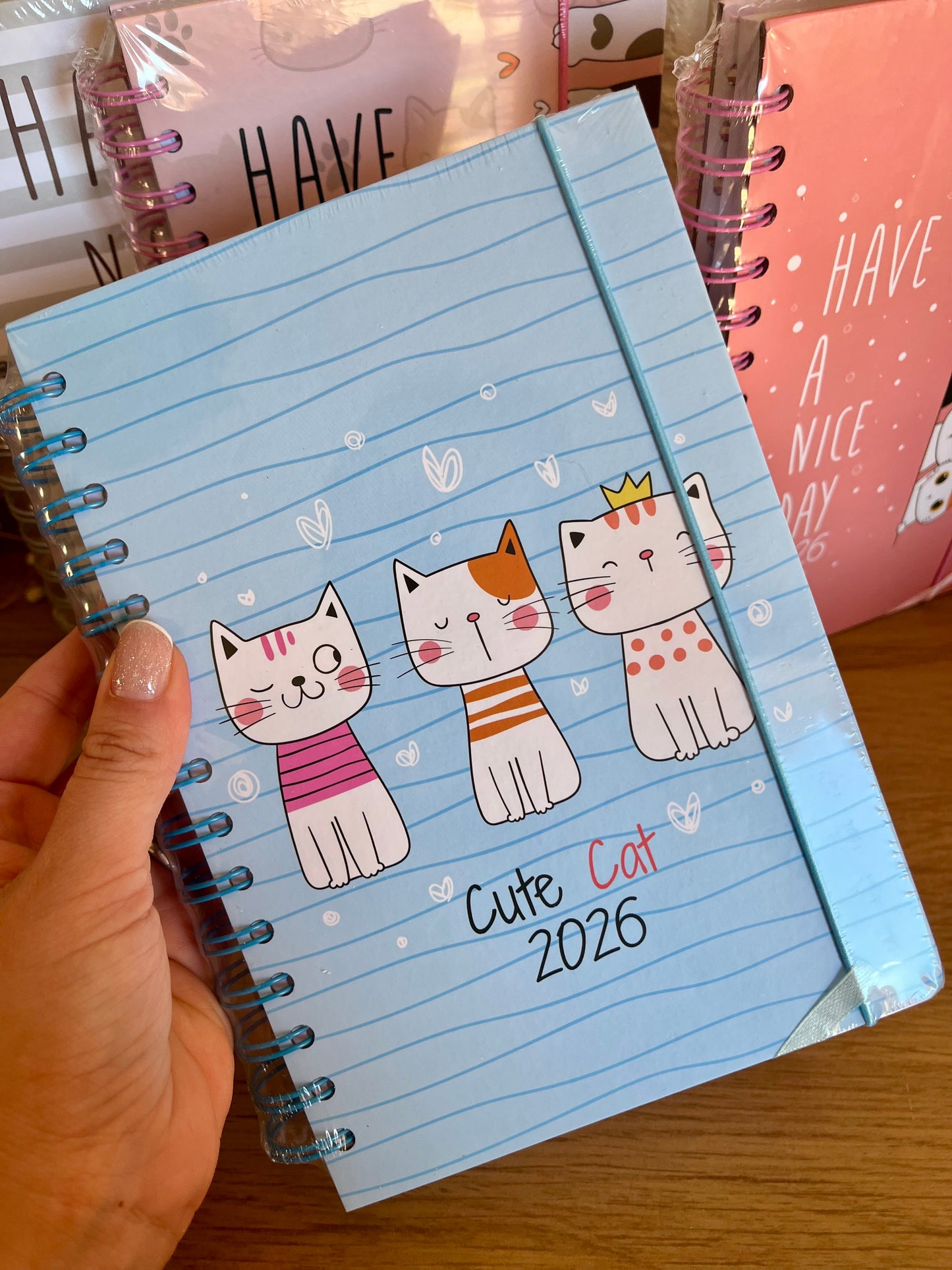 Michi Agendas 2026