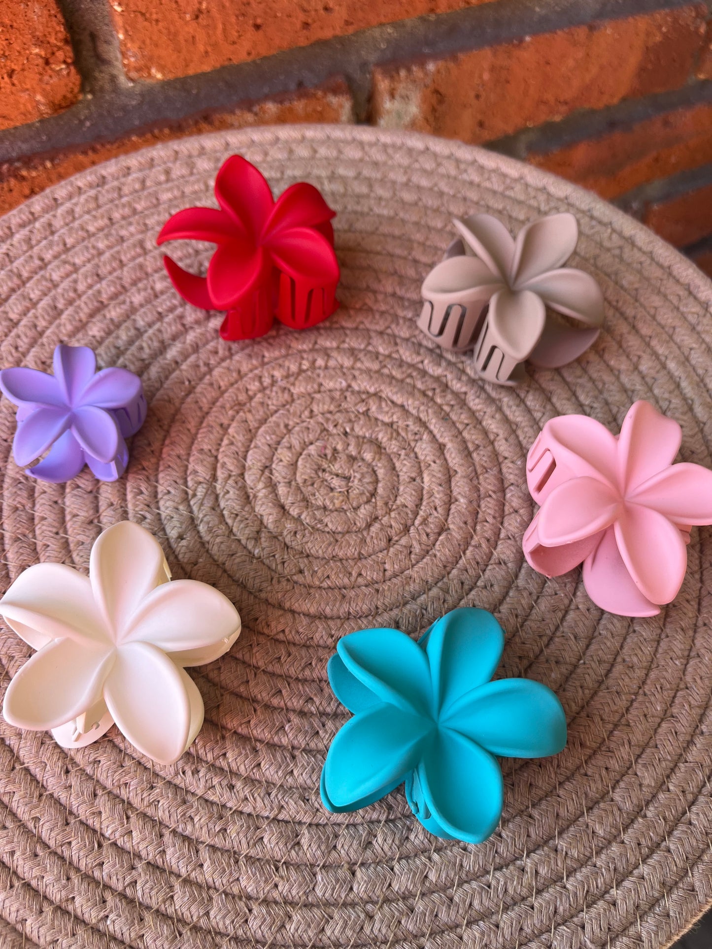 Pinza hawaiana mediana