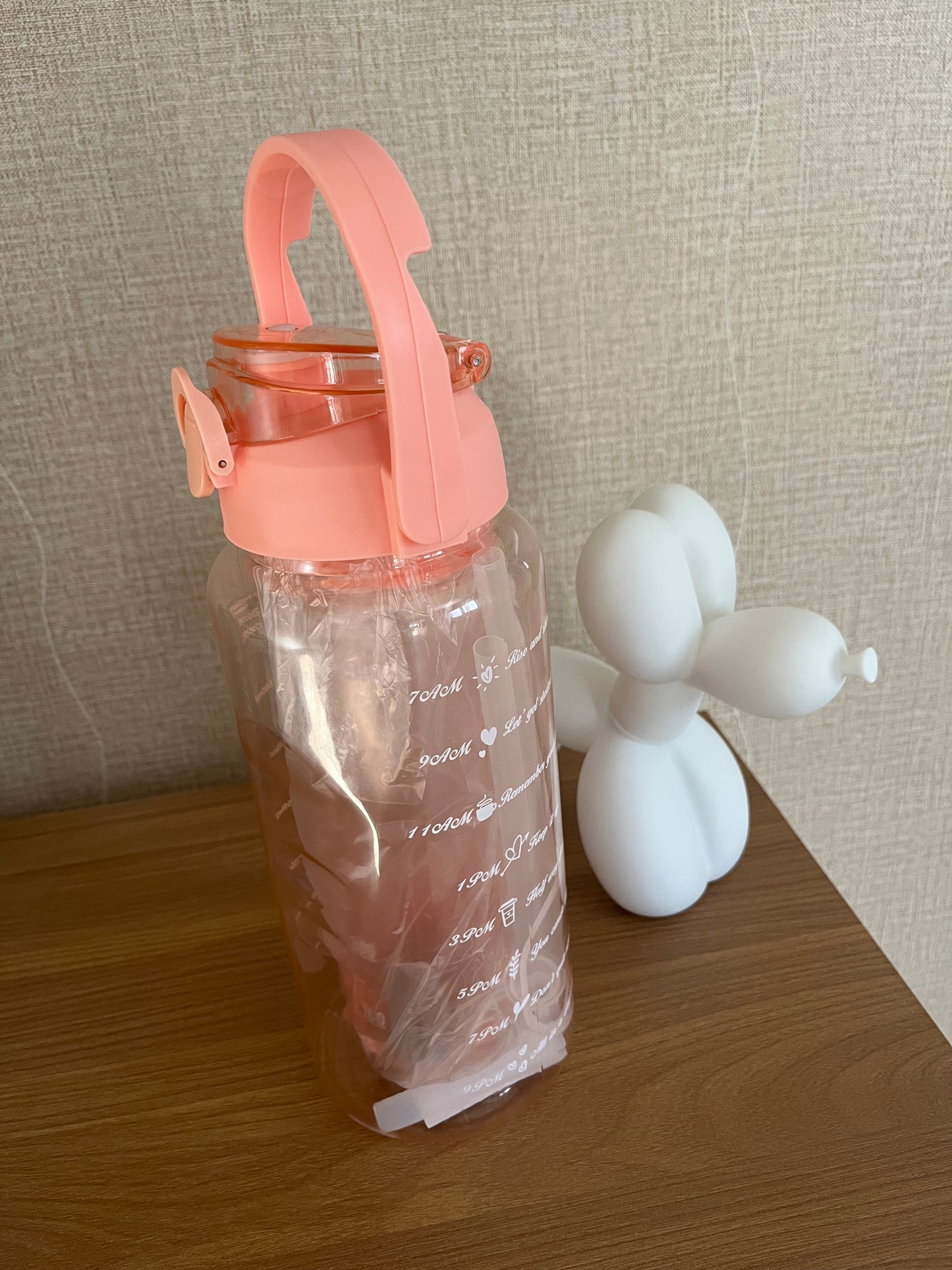 Set Botellas Motivacionales