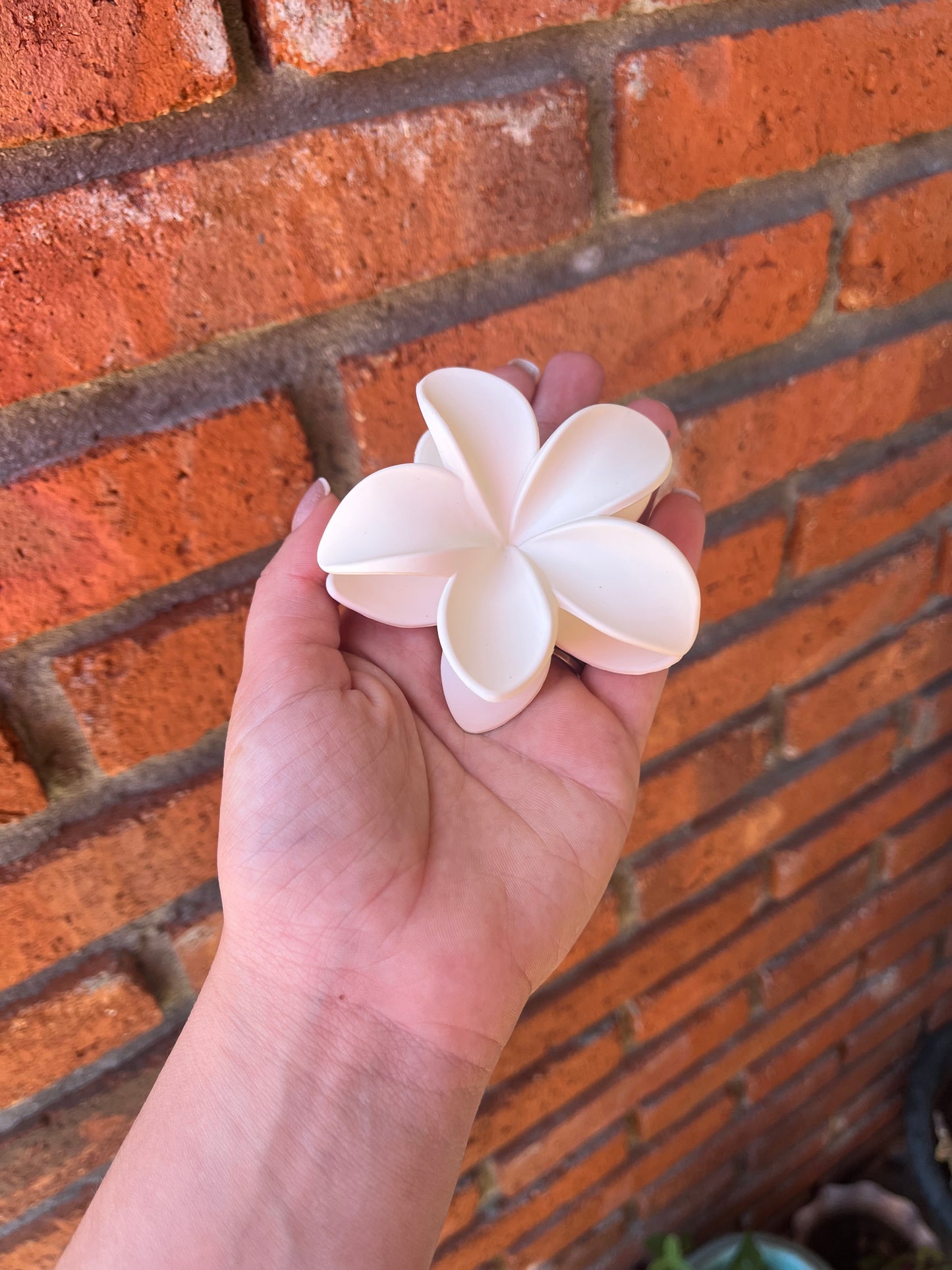 Pinza hawaiana grande